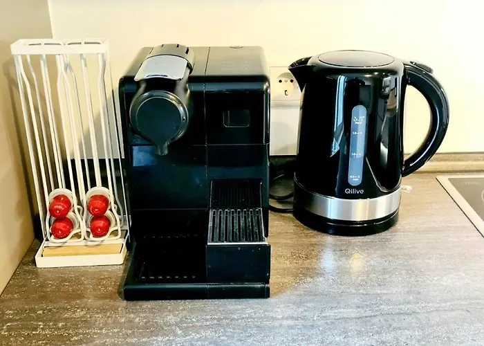 Luxury One Bedroom Flat With Parking&balcony-cent2